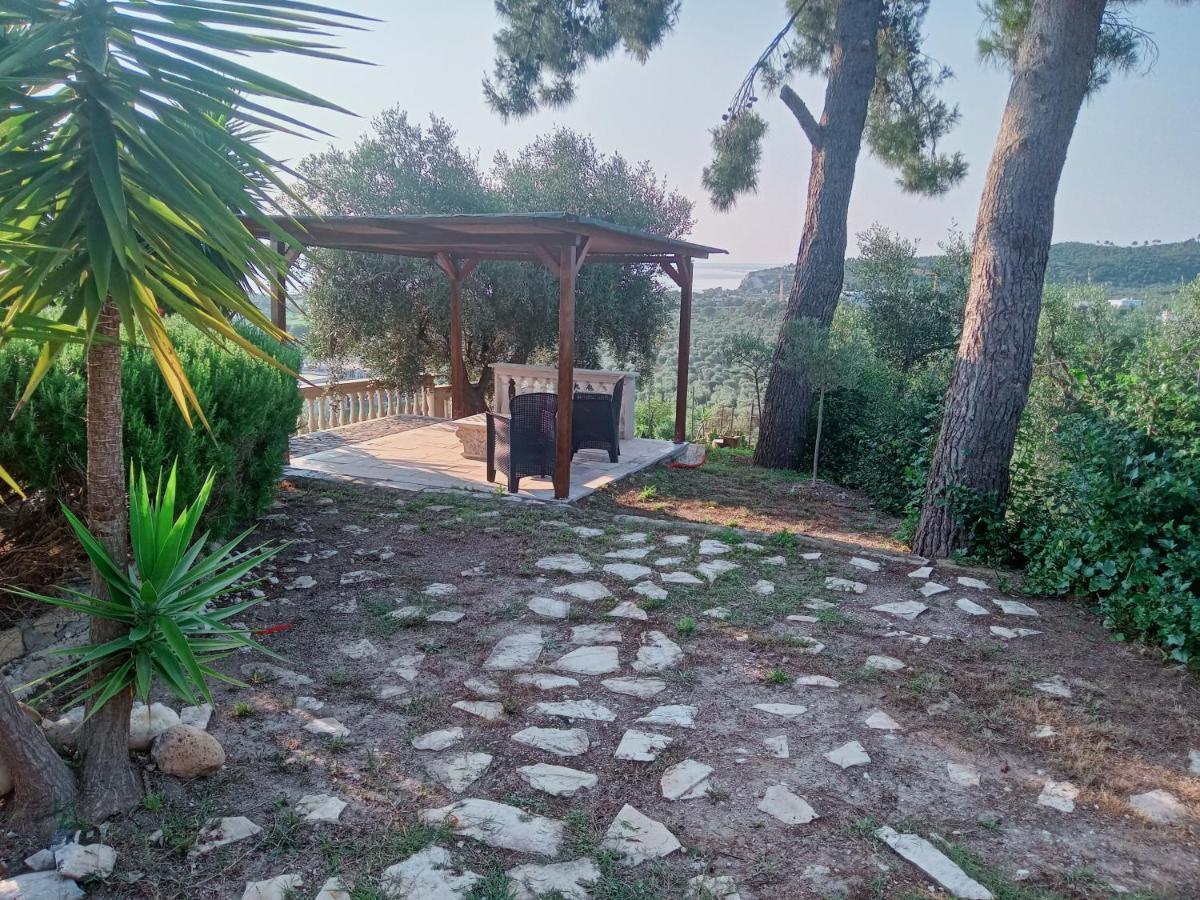 Casa Vacanze Del Carrubo Vieste Esterno foto