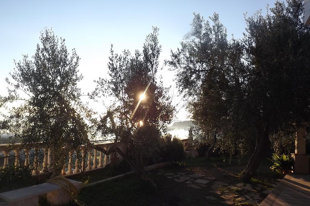 Casa Vacanze Del Carrubo Vieste Esterno foto