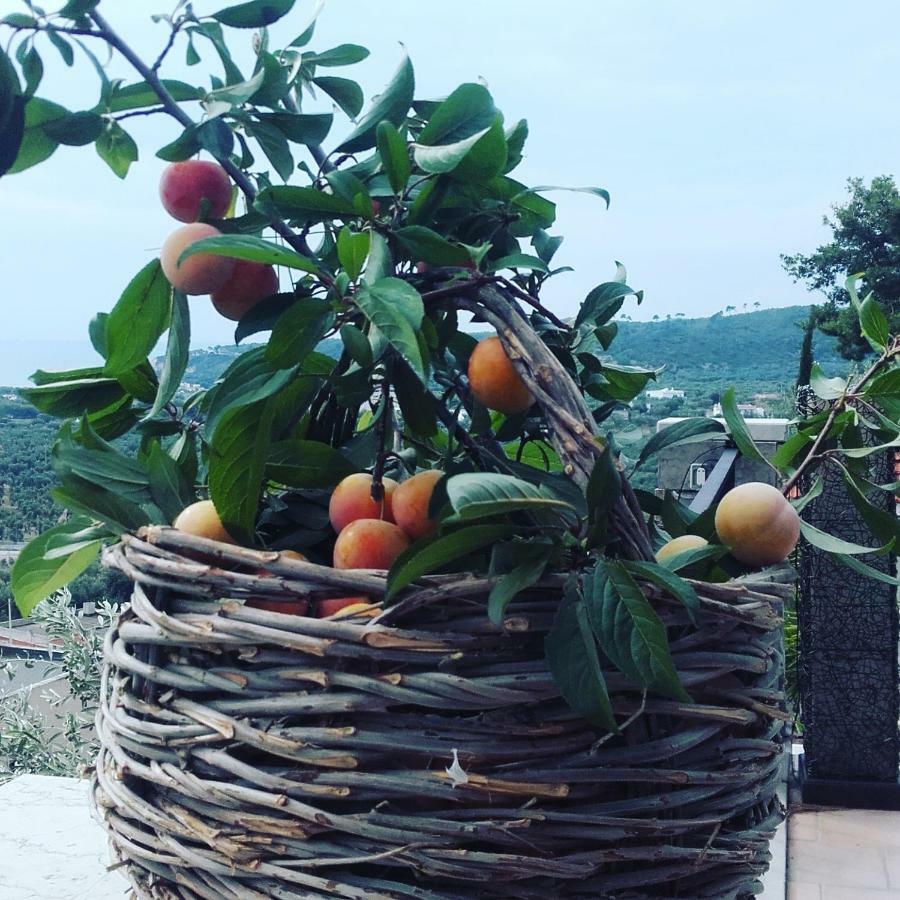 Casa Vacanze Del Carrubo Vieste Esterno foto